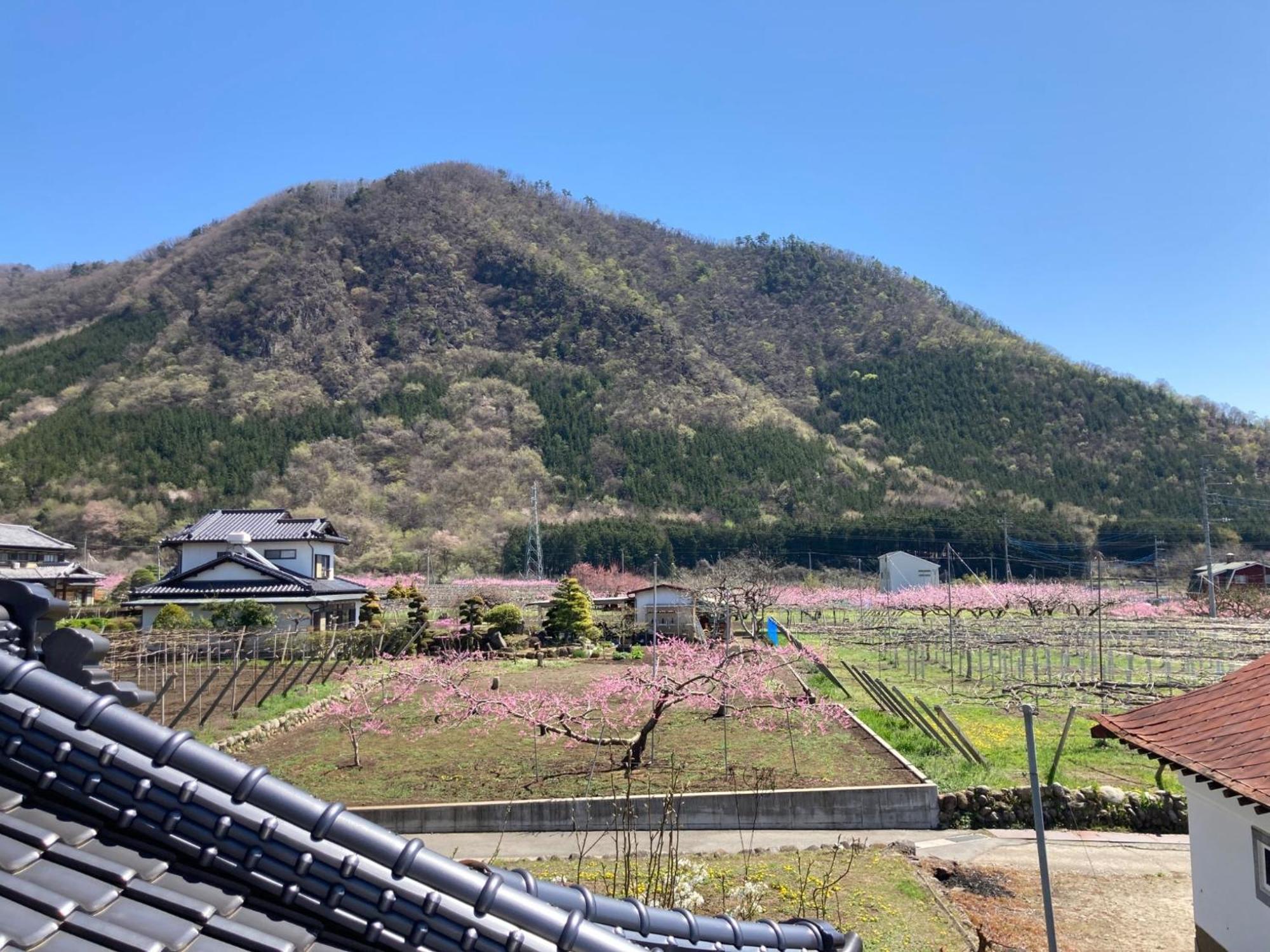 B&B Ladies Only Grape Mama Peach Room - Vacation Stay 11708 Koshu Esterno foto
